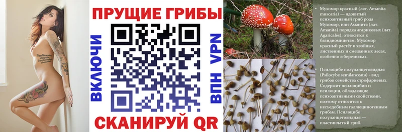 Псилоцибиновые грибы GOLDEN TEACHER Ипатово